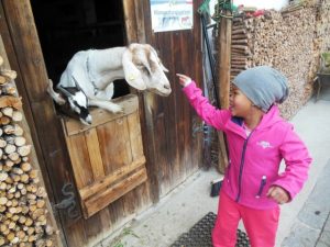 Kindergarten Peilstein